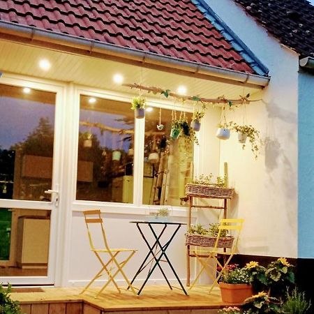 Le Cottage Du Marais. Houlle Εξωτερικό φωτογραφία